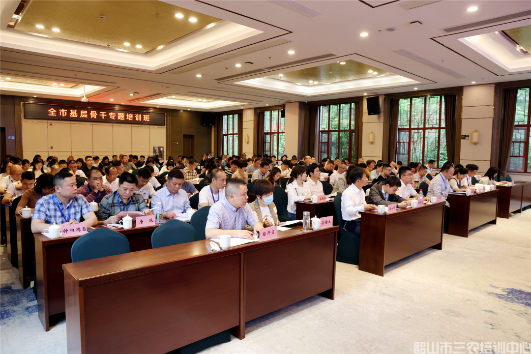 為基層干部賦能充電！全市基層骨干專題培訓班開班(圖3)