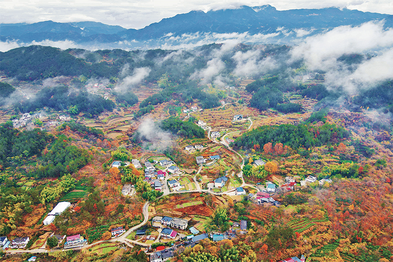 錨定建設(shè)農(nóng)業(yè)強(qiáng)國目標(biāo) 切實抓好新時代新征程“三農(nóng)”工作--唐仁健(圖3)